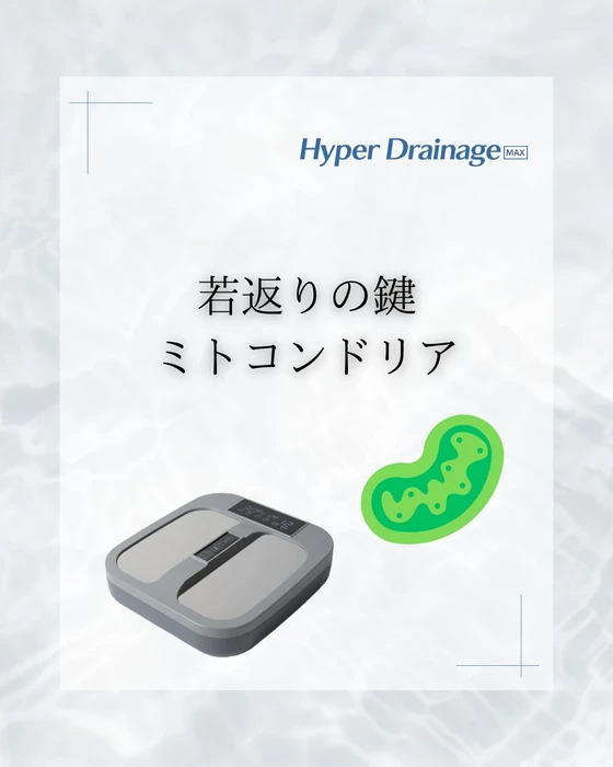 画像336