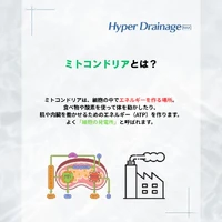 画像337