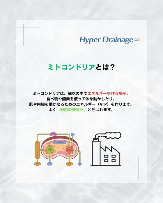 画像337