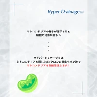 画像339
