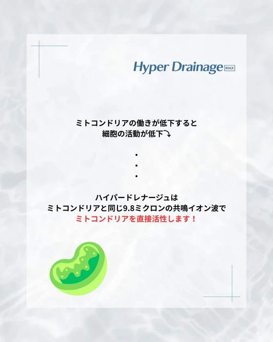 画像339