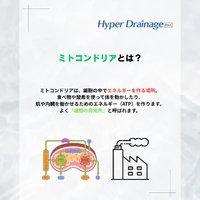 画像375