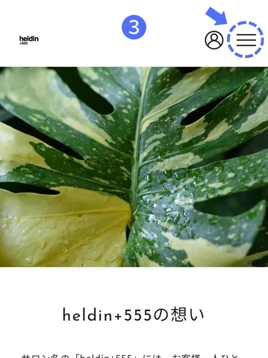 画像487