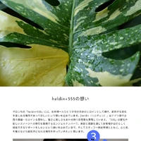 画像502